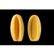 LİLYUM TOMURCUK LARGE