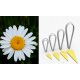 Papatya Çiçek Taç Kesme Kalıbı 143