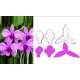 Dendrobium Orkide Kesme Kalıbı 3 lü 183 